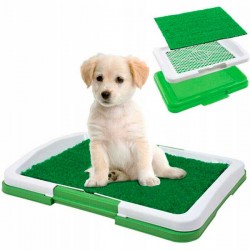 TAPIS D'APPREN...